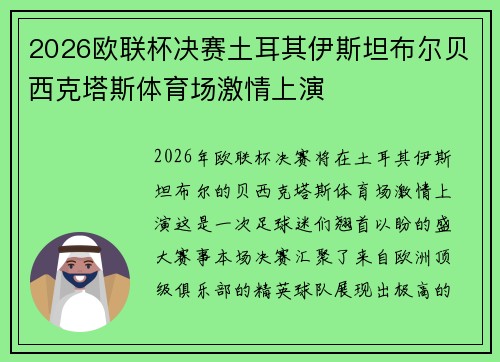 2026欧联杯决赛土耳其伊斯坦布尔贝西克塔斯体育场激情上演